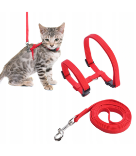 PETSTORY Szelki spacerowe dla kota lub małego psa + smycz (Czerwony)
