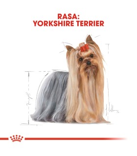 Royal Canin Breed Yorkshire Terrier Adult - Karma Sucha dla Psów Dorosłych York 7,5kg