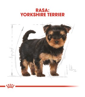 Royal Canin Breed Yorkshire Terrier Puppy - Karma Sucha dla Szczeniąt York 1,5kg