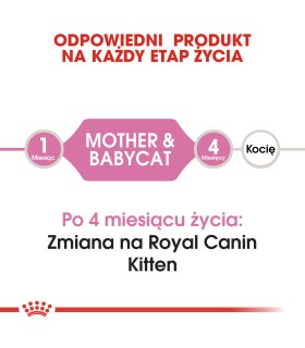 Royal Canin Mother & Baby Cat - Karma Sucha dla Kotek w Okresie Ciąży, Laktacji i Kociąt od 1 do 4 Miesiąca Życia 2kg
