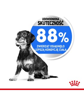 Royal Canin Mini Light Weight Care Adult - Karma Odchudzająca Rasy Małe, Psy Dorosłe 1kg