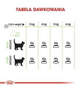 Royal Canin Digestive Care Adult - Karma Sucha dla Kotów Dorosłych, Wspomagająca Proces Trawienia 10 kg