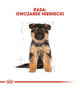 Royal Canin Breed German Shepherd Puppy - Karma dla Szczeniąt Owczarek Niemiecki 1kg