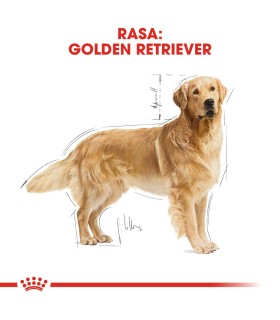 Royal Canin Golden Retriever Adult - Karma Sucha dla Psów Dorosłych Rasy Golden Retriver 12kg
