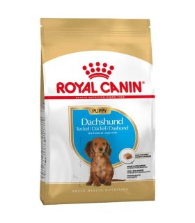 Royal Canin Breed Dachshund Puppy - Karma Sucha dla Szczeniąt Dachshund 1,5kg