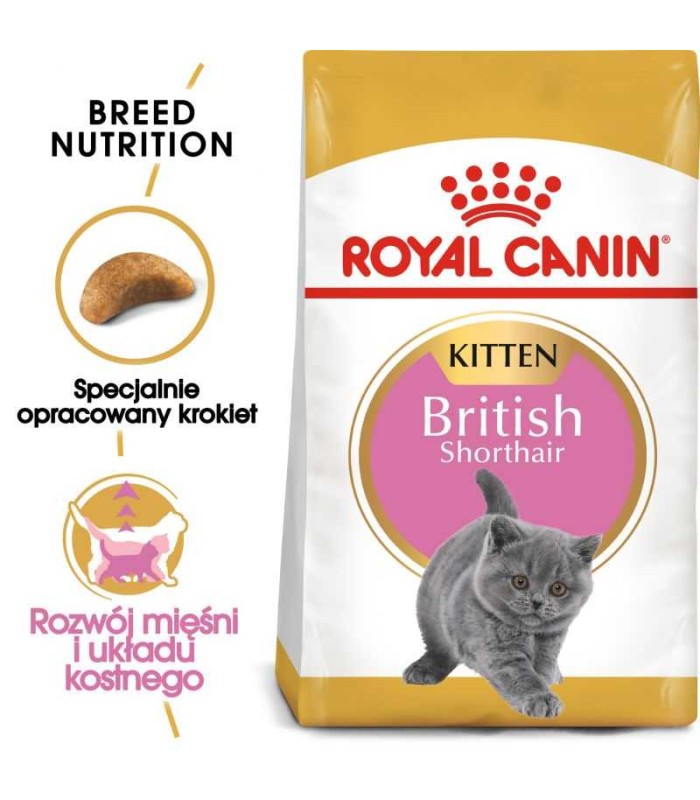 Royal Canin FBN British Shorthair Kitten - Karma Sucha dla Kociąt do 12 miesiąca, Rasy Brytyjski Krótkowłosy 2kg