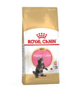 Royal Canin FBN Maine Coon Kitten - Karma Sucha dla Kociąt do 15 miesiąca, Rasy Maine Coon 2kg
