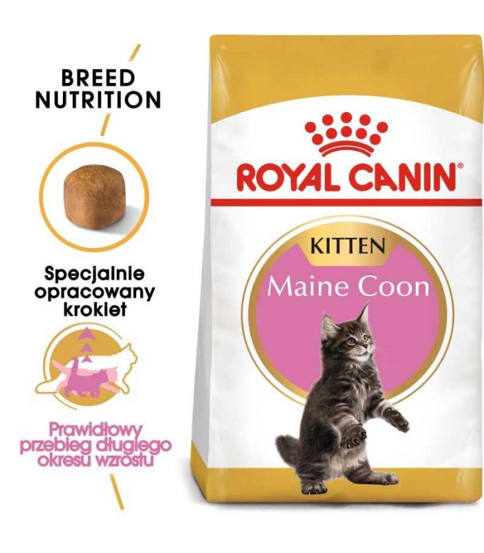 Royal Canin FBN Maine Coon Kitten - Karma Sucha dla Kociąt do 15 miesiąca, Rasy Maine Coon 4kg