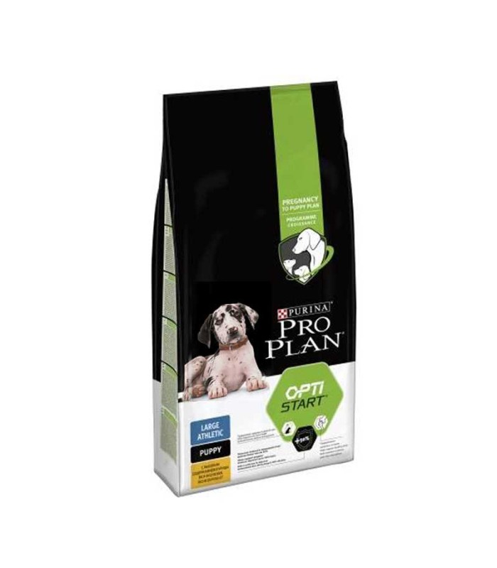 Pro plan hotsell puppy 12kg