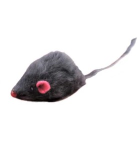 Mysz z Grzechotką Zabawka dla Kota PETSTORY