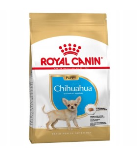 ROYAL CANIN Chihuahua Puppy KARMA SZCZENIĄT 1,5kg  | Zoo24.pl