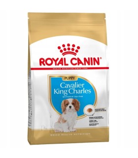 ROYAL CANIN Cavalier KingCharles Puppy KARMA 1,5kg  | Zoo24.pl