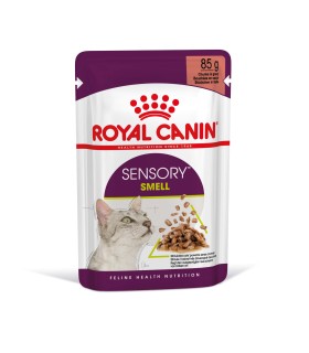 Royal Canin FHN Sensory Smell - Karma Mokra w Sosie dla Kotów Dorosłych 85g