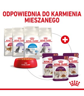 Royal Canin FHN Sensory Smell - Karma Mokra w Sosie dla Kotów Dorosłych 85g