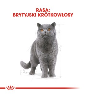 Royal Canin FBN British Shorthair Adult - Karma Sucha dla Kotów Dorosłych Rasy Brytyjski Krótkowłosy 4kg