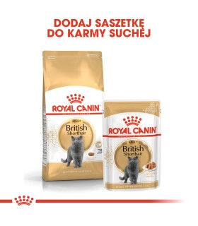 Royal Canin FBN British Shorthair Adult - Karma Sucha dla Kotów Dorosłych Rasy Brytyjski Krótkowłosy 4kg
