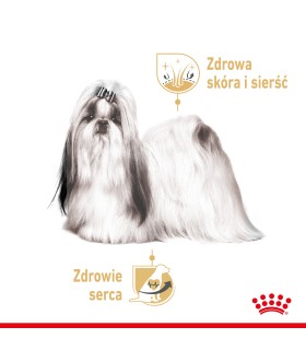 Royal Canin Karma mokra dla psa Shih Tzu 85 g