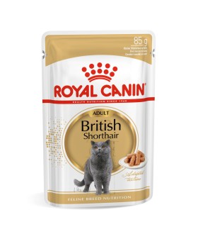 Royal Canin Karma Mokra dla kotów dorosłych rasy Brytyjski