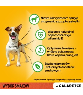 PEDIGREE VITAL PROTECTION Adult Saszetki dla Psa w Galaretce MIX SMAKÓW 40x 100g