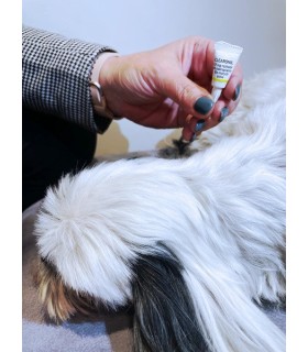 CLEARONIL dla małych psów (2-10 kg) - 67 mg x 3