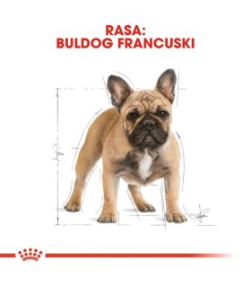 Royal Canin Adult Karma sucha dla buldoga francuskiego 9kg