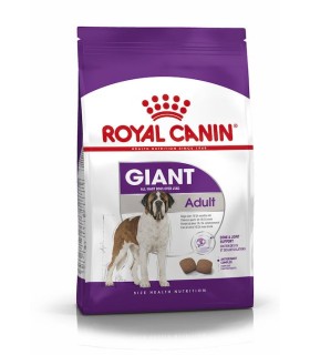 ROYAL CANIN Sucha karma dla psów ras olbrzymich 15 kg