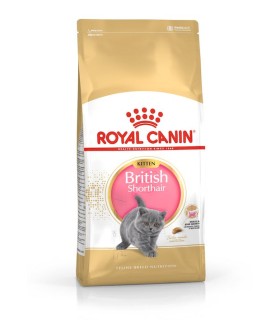 ROYAL CANIN Karma sucha dla kociąt kota brytyjskiego krótkowłosego 10 kg