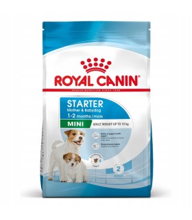 ROYAL CANIN SHN Mini Starter Karma dla szczeniąt małych ras i suk w ciąży lub karmiących 8 kg