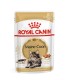 ROYAL CANIN Pełnoporcjowa karma dla kotów rasy maine coon 85g