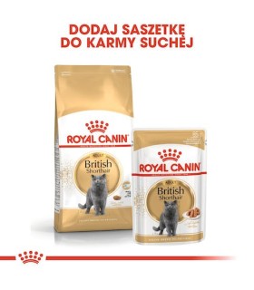 ROYAL CANIN FBN British Shorthair Sucha karma dla kota rasy brytyjskiej 10 kg