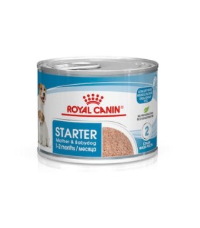 ROYAL CANIN Starter Mother&Babydog Mousse karma mokra mus dla suki w