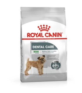 ROYAL Canin Mini Dental Care karma dla dorosłych psów ras małych | Zoo24.pl