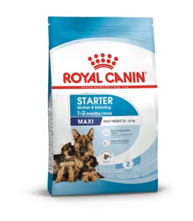 Royal Canin Maxi Starter M&B karma sucha dla suk w ciąży i karmiących