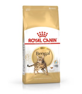 Royal Canin Bengal Adult karma sucha dla dorosłych kotów rasy