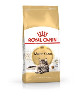 Royal Canin Kitten Maine Coon karma sucha dla kotów rasy maine coon