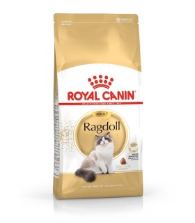 Royal Canin Ragdoll Adult karma sucha dla dorosłych kotów rasy ragdoll 10 kg