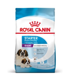 Royal Canin karma sucha dla psów Giant Starter M&B 15 kg   | Zoo24.pl