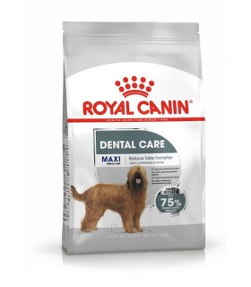 Royal Canin Maxi Dental Care - karma sucha dla dorosłych psów ras