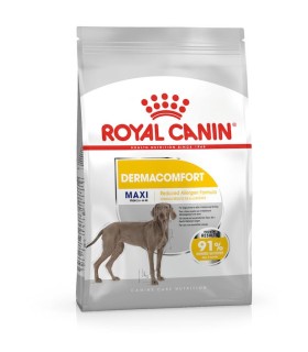 Royal Canin Maxi Dermacomfort - karma sucha dla dorosłych i starszych psów | Zoo24.pl