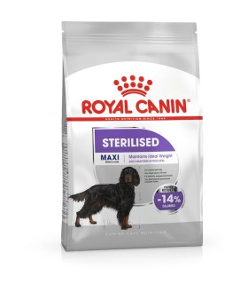 Royal Canin Maxi Sterilised - karma sucha dla dorosłych psów ras
