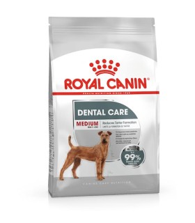 Royal Canin Medium Dental Care karma sucha dla dorosłych psów z