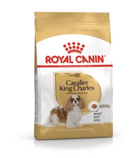 Royal Canin Cavalier King Charles Adult - karma sucha dla dorosłych i