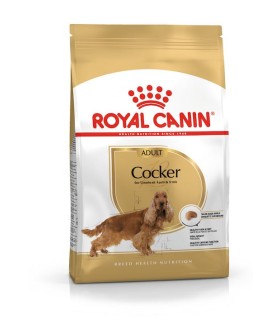 Royal Canin Cocker Adult - karma sucha dla dorosłych i starszych