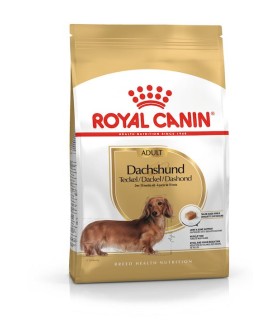 Royal Canin Dachshund Adult - karma sucha dla dorosłych i starszych
