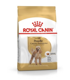 Royal Canin Poodle Adult - karma sucha dla dorosłych i starszych psów