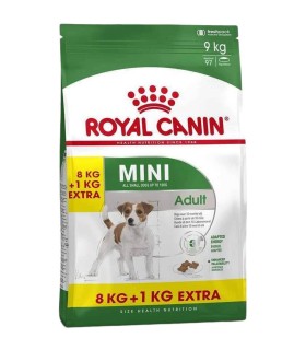 ROYAL CANIN karma sucha dla dorosłych psów ras małych 8+1 kg