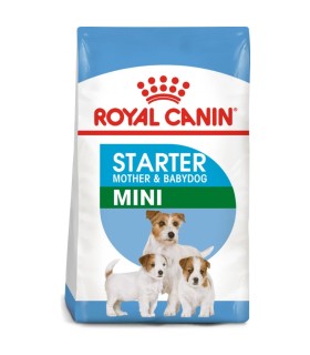 Royal Canin Mini Starter Mother & Babydog - Karma Sucha dla Szczeniąt do 2 Miesiąca i Suk Karmiących Ras Małych 1kg