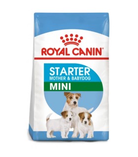 Royal Canin Mini Starter Mother & Babydog - Karma Sucha dla Szczeniąt