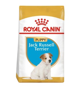 Royal canin store jack russell 3kg