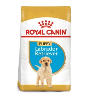 Royal Canin Breed Labrador Retriver Puppy - Karma Sucha dla Szczeniąt Labrador 1kg